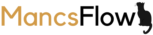 MancsFlow